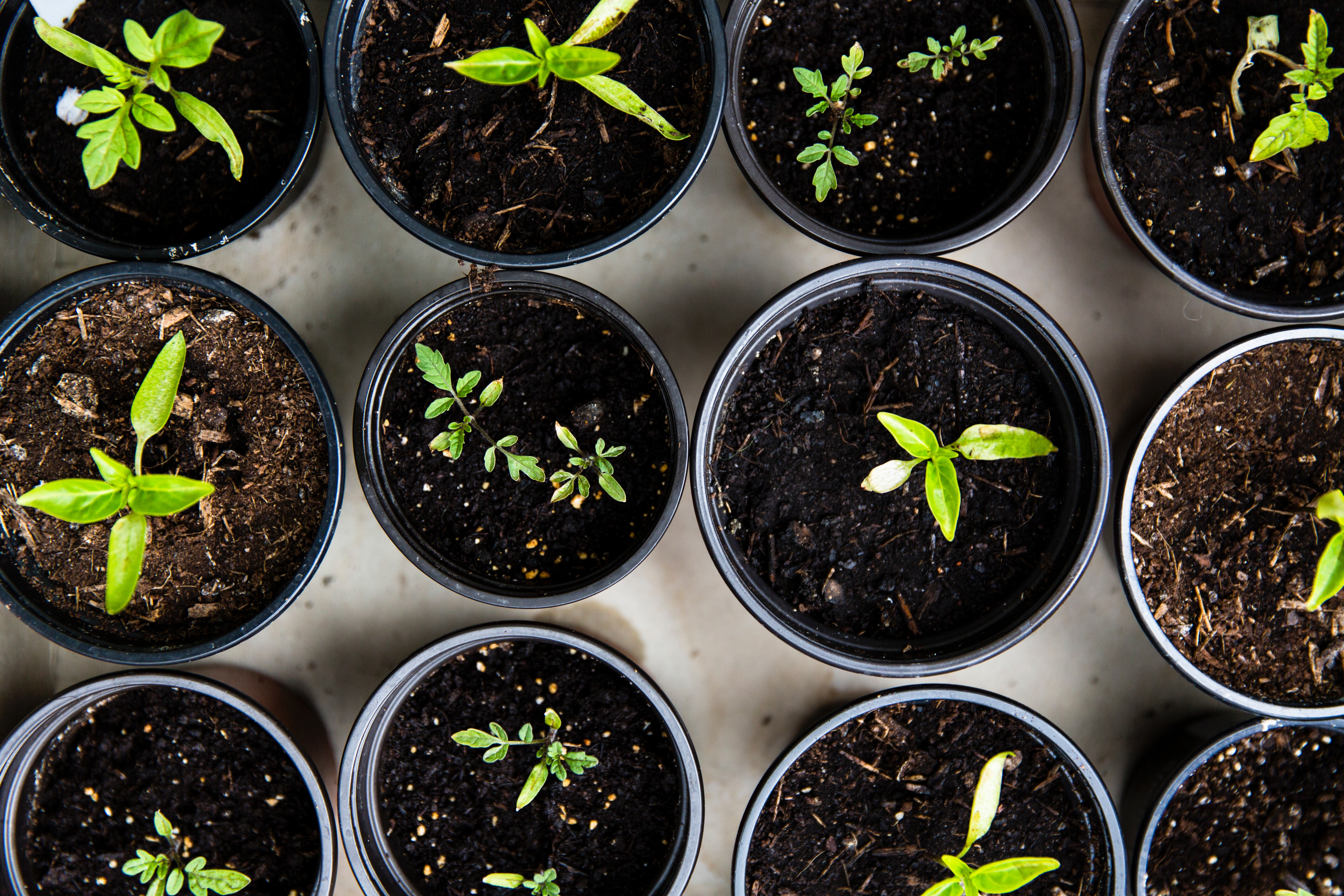 Compliance Framework Selector: Which Framework Should You Pursue First?